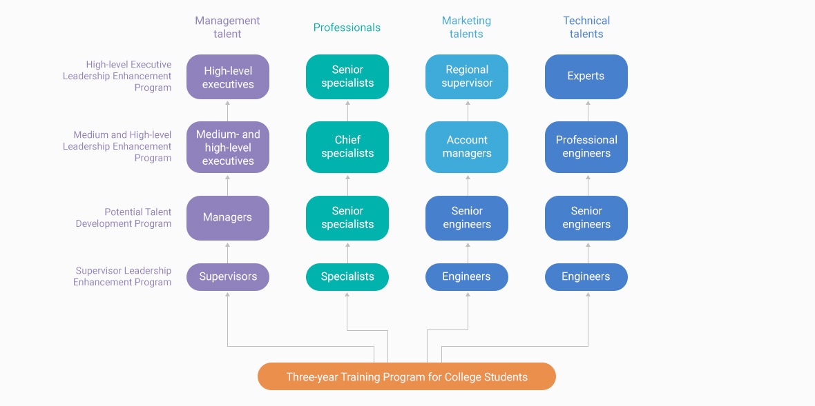 Desarrollo de talento